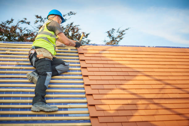 Best Roof Maintenance and Cleaning  in Athens, WV